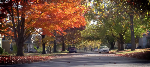 Neodesha City street with fall trees